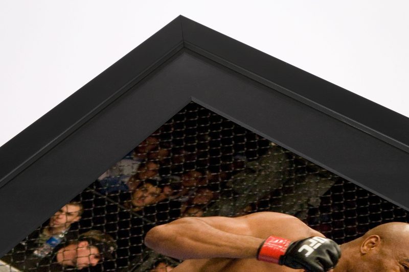 Anderson Silva UFC 101 A3 Unsigned Photos 2