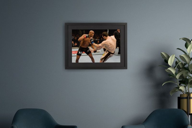 Anderson Silva UFC 101 A3 Unsigned Photos 4