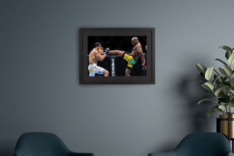 Anderson Silva UFC 126 A3 Unsigned Photos 4