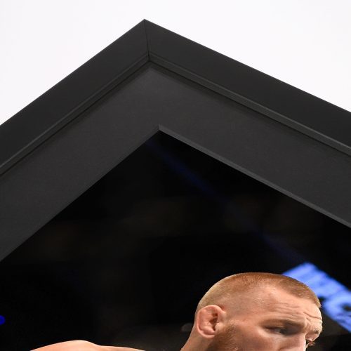 Conor McGregor UFC 202 A3 Unsigned Photos 2