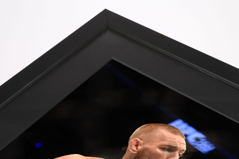 Conor McGregor UFC 202 A3 Unsigned Photos 2