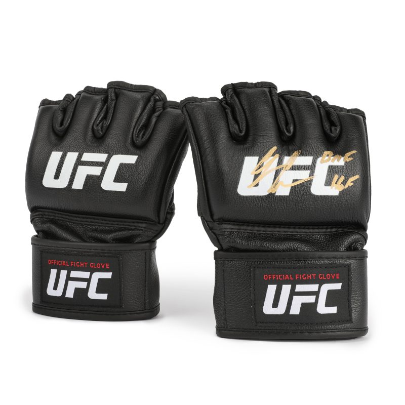 Donald Cerrone UFC Signed Replica Gloves 1