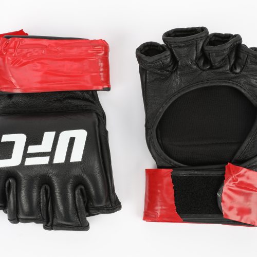 MICHAEL CHIESA Gloves 2