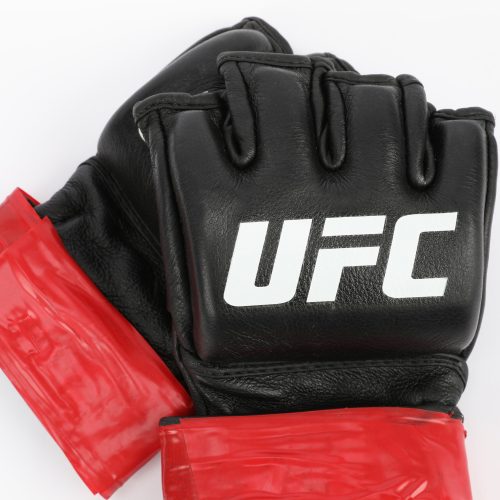 MICHAEL CHIESA Gloves 3