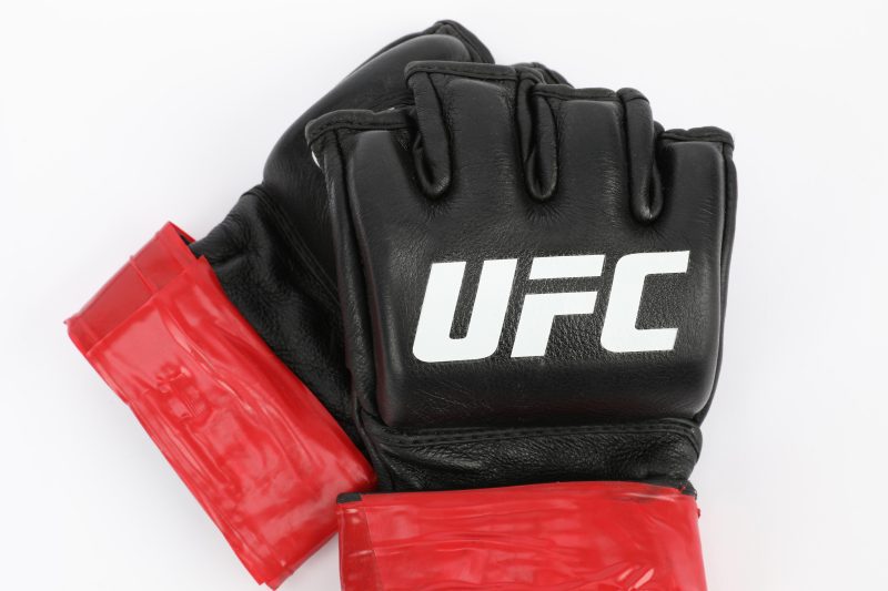 MICHAEL CHIESA Gloves 3