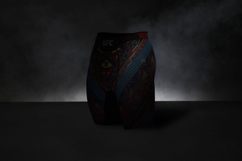 Platinum Mystery Box Venum Special Shorts