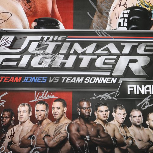 TUF17TeamTeamJonesvs.TeamSonnen 4