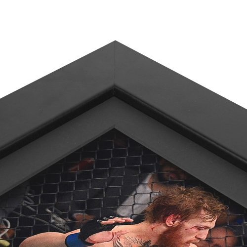 UFC 189 New Fram Canvas and Photo 3