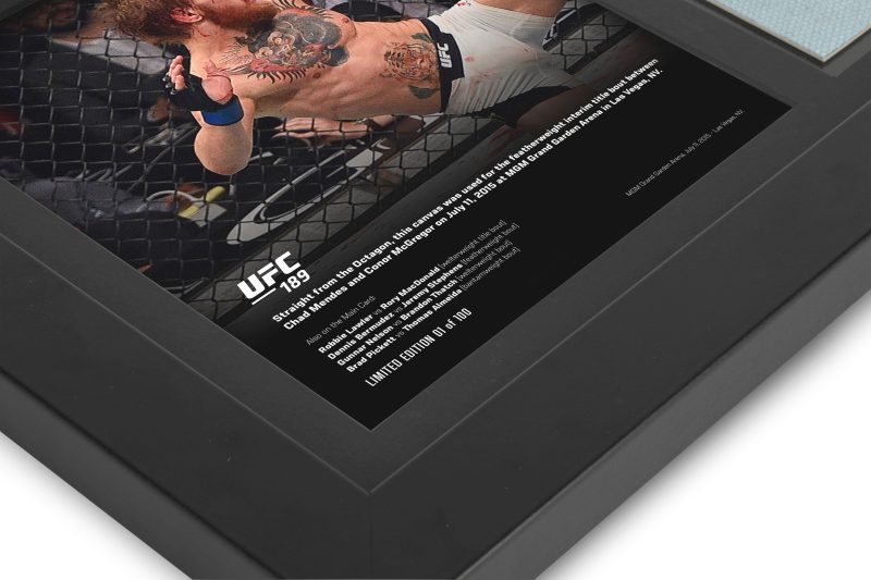 UFC 189 New Fram Canvas and Photo 4