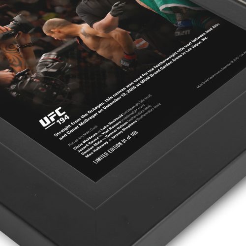 UFC 194 New Frame Canvas and Photo 4 1