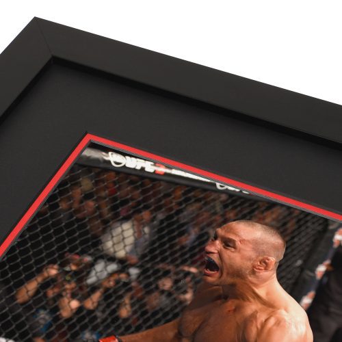 UFC 199 Canvas Photo 3 59ae32c6 6221 4b6f b145 ee77ab57f8f8