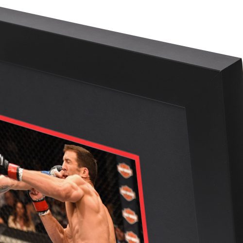 UFC 199 Canvas Photo 4