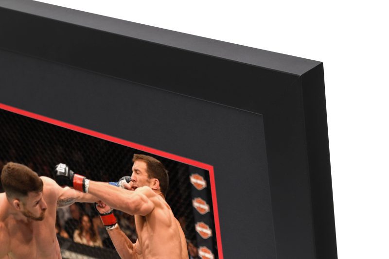 UFC 199 Canvas Photo 4