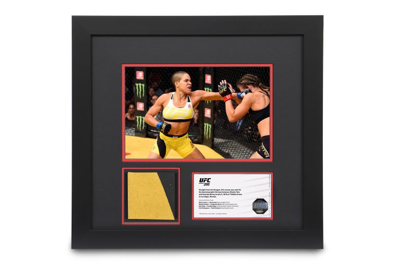 UFC 200 Canvas Photo 1 9110d773 ca5b 452f bafd 40ce432a3ca5