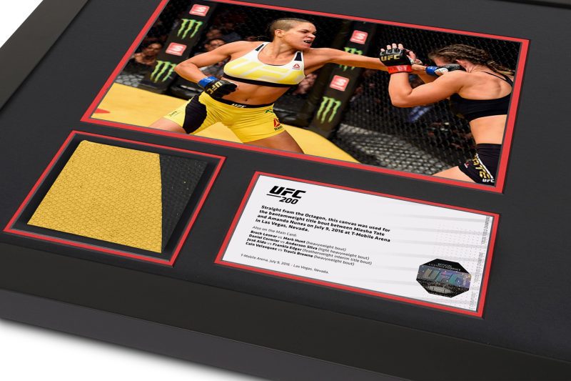 UFC 200 Canvas Photo 2 bea2a10d 6484 4e80 93f9 6b4617860ab2