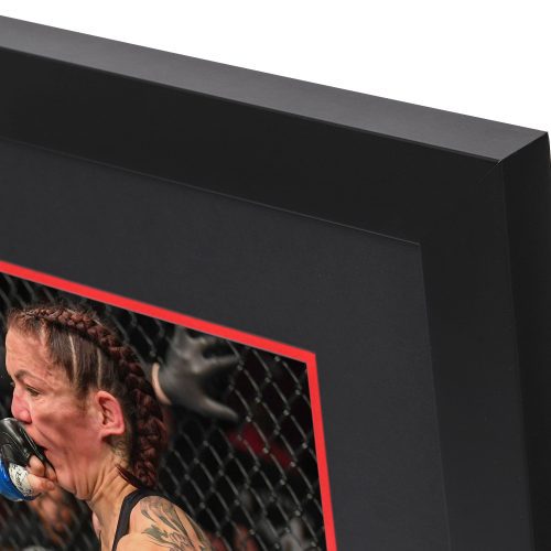 UFC 232 Mock Up 4 d3d27ca2 89d4 4a07 b046 5678638e3638