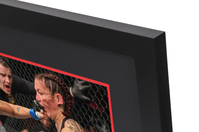 UFC 232 Mock Up 4 d3d27ca2 89d4 4a07 b046 5678638e3638