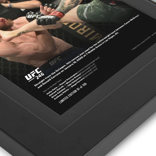 UFC 246 New Frame Canvas and Photo 4