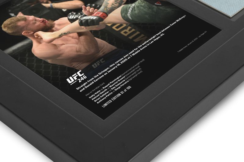 UFC 246 New Frame Canvas and Photo 4