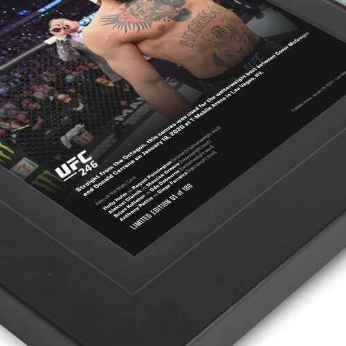 UFC 246 New Frame Canvas and Photo 4 1