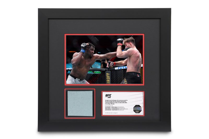 UFC 260 Canvas Photo 1