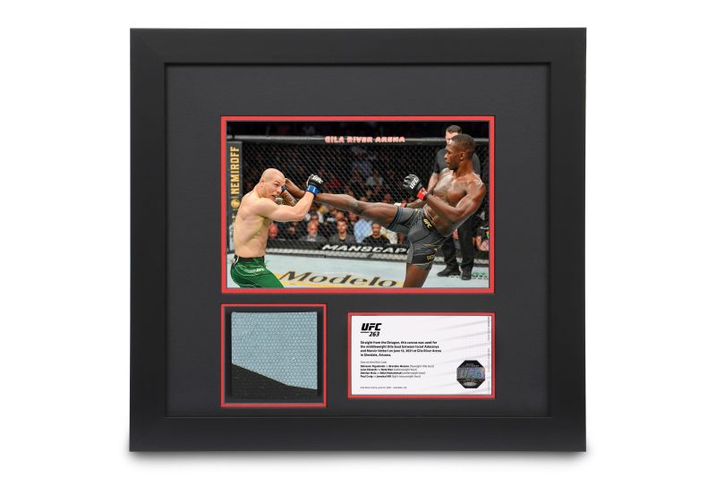 UFC 263 Canvas Photo 1