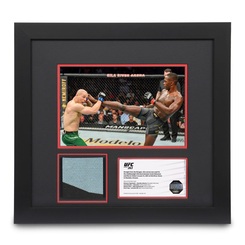 UFC 263 Canvas Photo 1x1 1