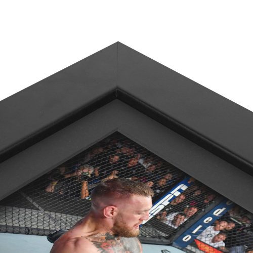 UFC 264 New Frame Canvas and Photo 3