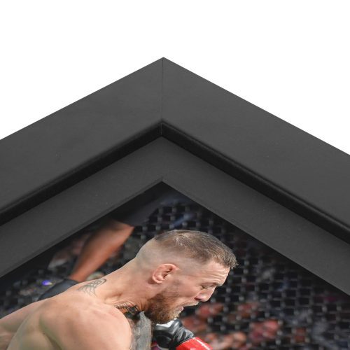 UFC 264 New Frame Canvas and Photo 3 1