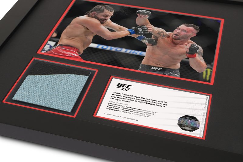 UFC 272 Mock Up 2