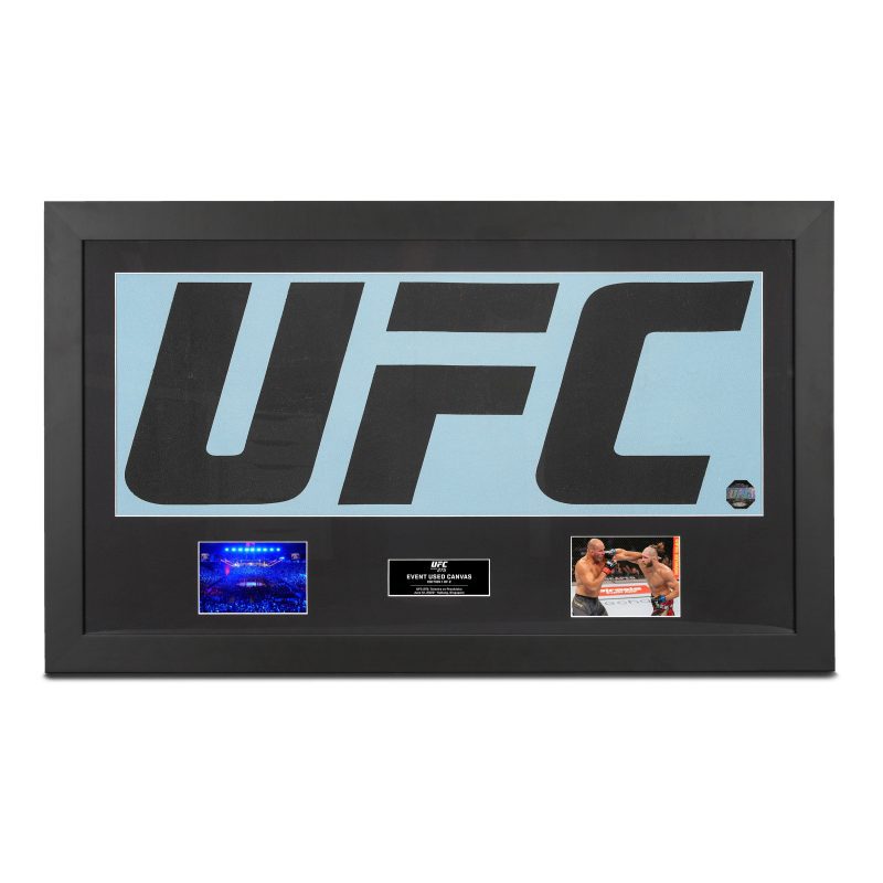 UFC 275 Canvas Logo Photo 1