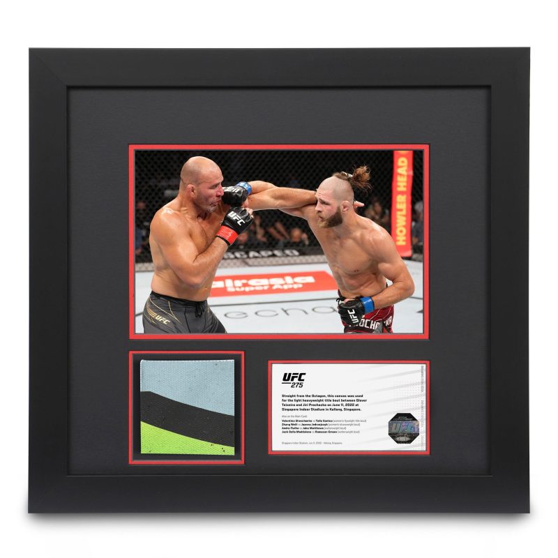 UFC 275 Canvas Photo 1x1 63ca0b1f 1e20 4f2d 8589 8219ad964bf6