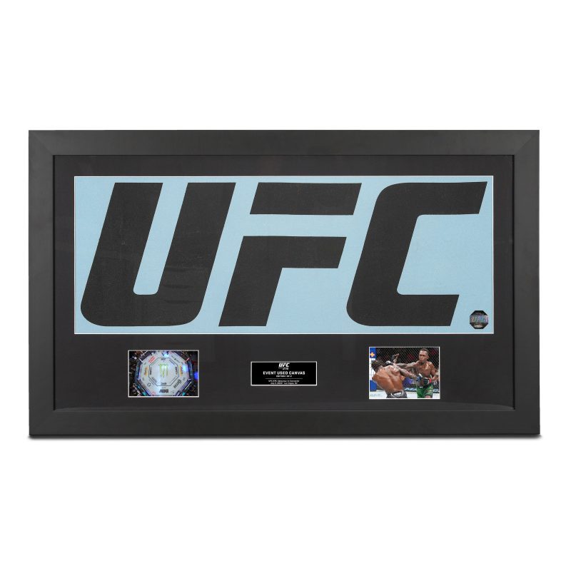 UFC 276 Canvas Logo Photo 1