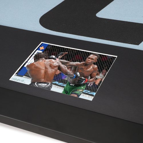 UFC 276 Canvas Logo Photo 3