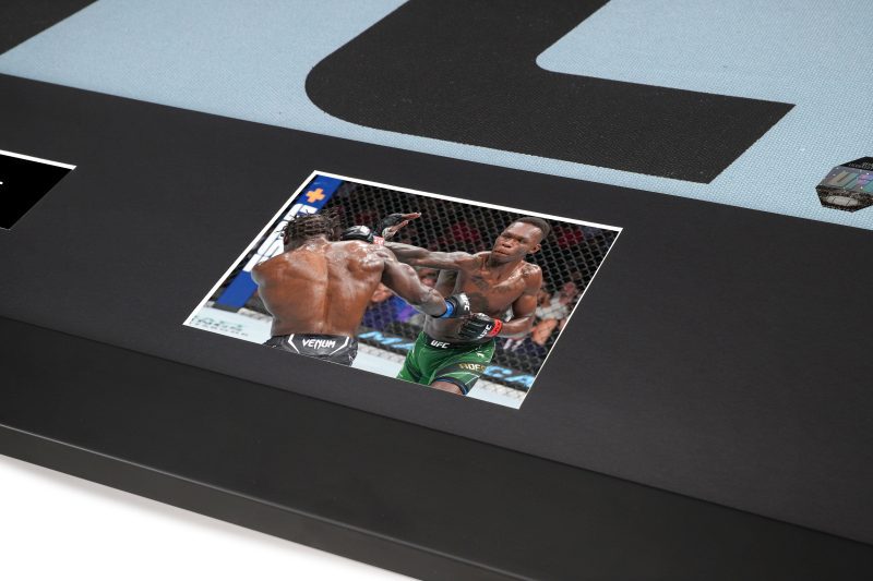 UFC 276 Canvas Logo Photo 3