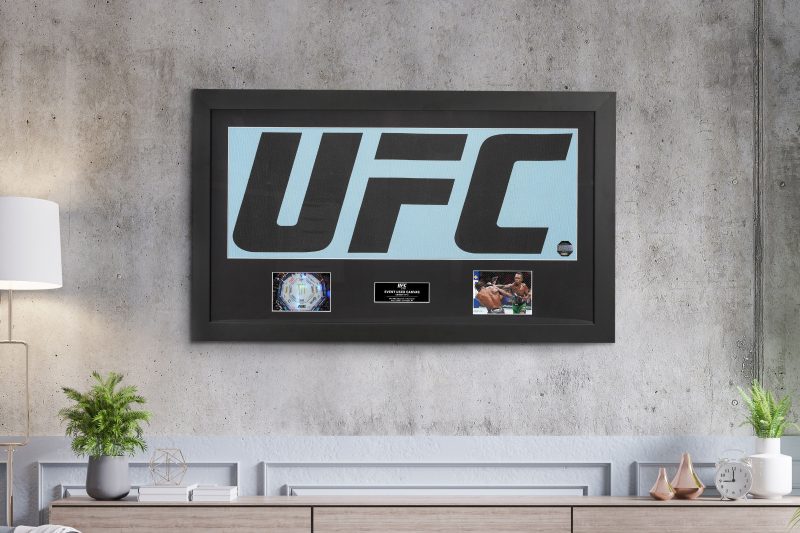 UFC 276 Canvas Logo Photo 8