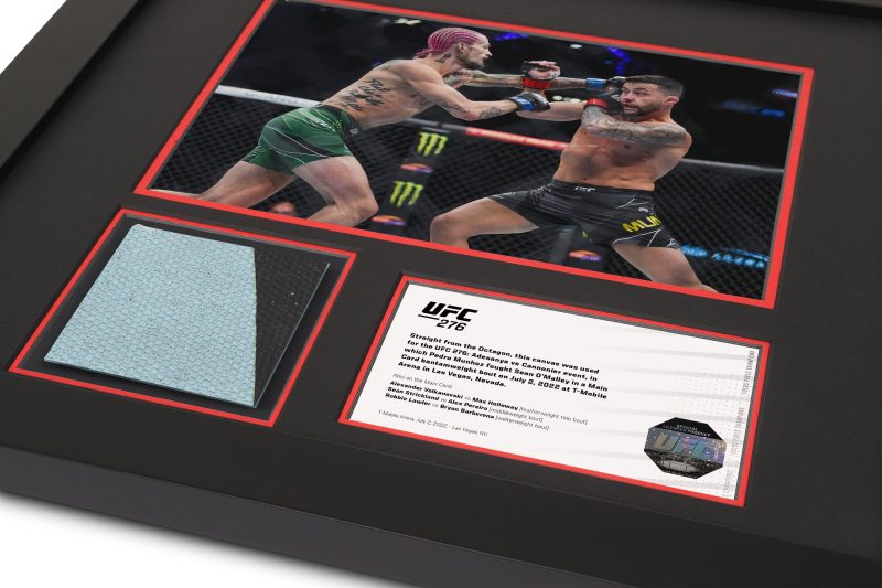 UFC 276 Mock Up 2 92e570d3 c698 41a7 9277 d64a587e5590