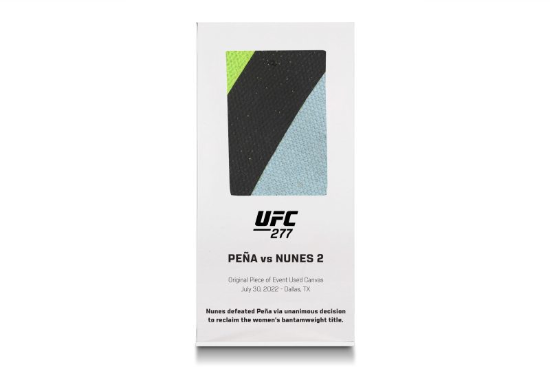 UFC 277 Canvas in Acrylic 2 62eb2007 73b8 4889 b66b 49ebaf389fc9