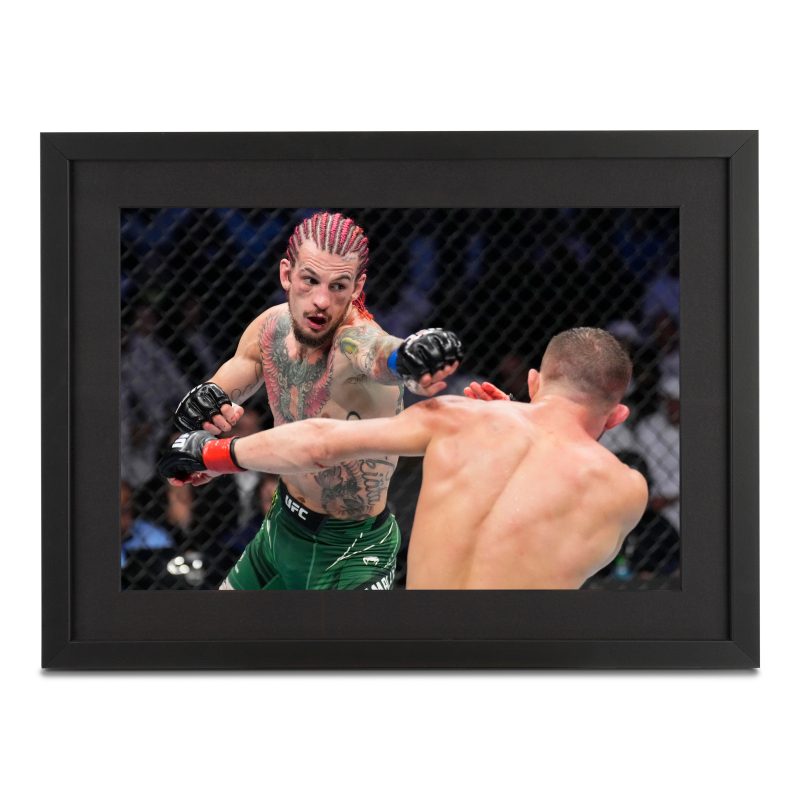 UFC 280 Sean O Malley A3 Unsigned Photos 1 219e0449 e583 45c9 89ad cb6ecf35637a