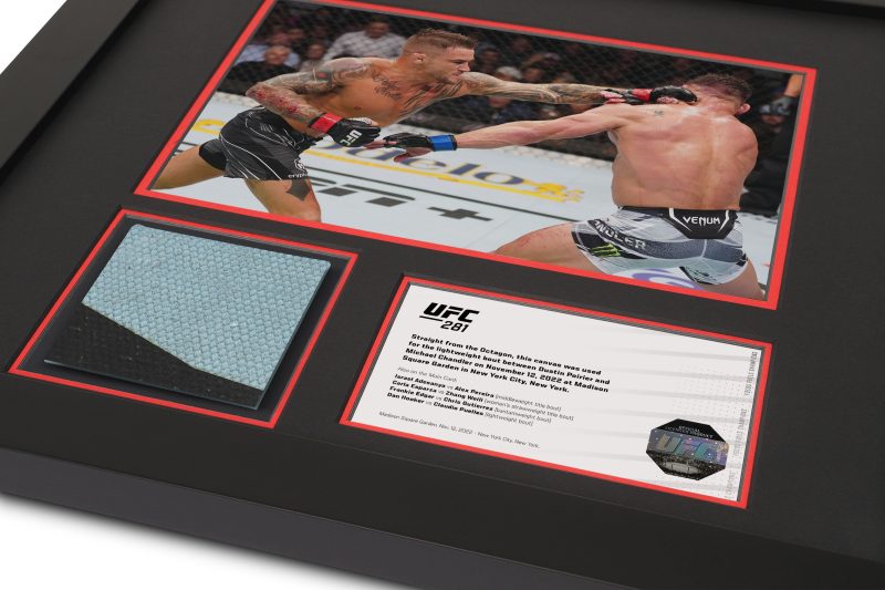 UFC 281 Mock Up 2 bb9365f2 1b5d 4860 8780 15de4c6e1387