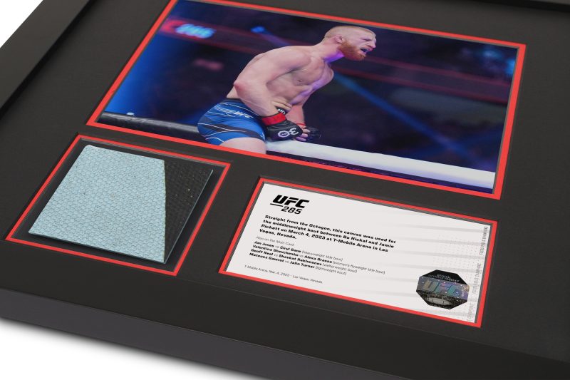 UFC 285 Mock Up 2 6f549dca b221 4b48 af3f 24b4fa86d810