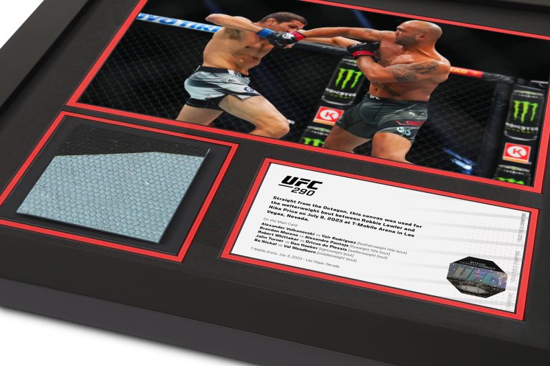 UFC 290 Mock Up 2 40c01632 3af7 46ca b0c0 e57915477f37