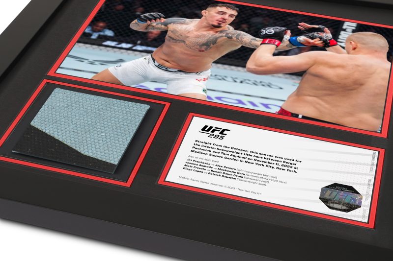 UFC 295 Mock Up 2 3772de67 eb97 4674 b329 35266d77c003