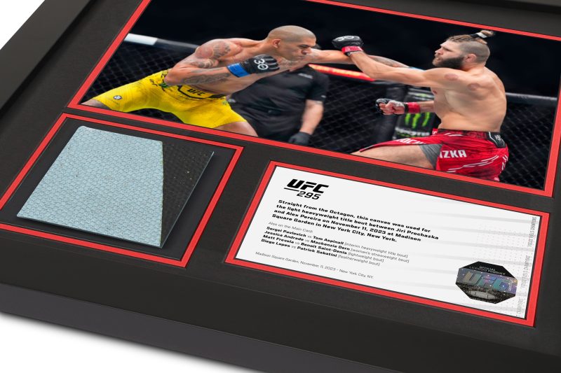 UFC 295 Mock Up 2 60111c1e a32a 4fae b585 45a2ea6ece82