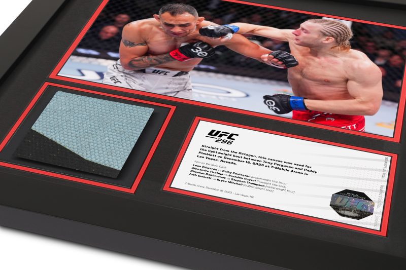 UFC 296 Mock Up 2 8e340658 a1bc 4ecf bacd e0c71a5c8226