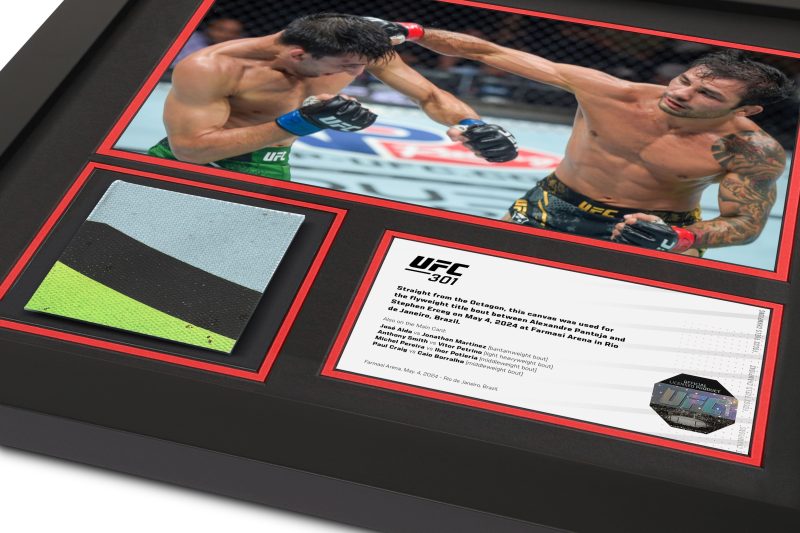 UFC 301 Mock Up 2 1