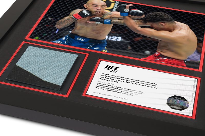 UFC 301 Mock Up 2 2