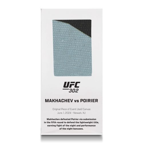 UFC 302 Canvas in Acrylic 2 1