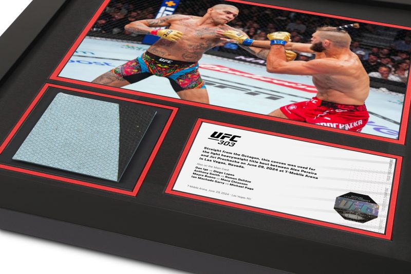 UFC 303 Mock Up 2 3 49ba8bab 7d0c 47a5 8b89 2a8f5ebb733e