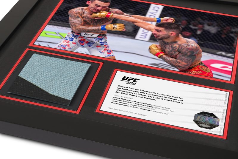 UFC 308 Mock Up 2 1 f9b970f9 bc05 4cdc 9238 60ec049f0950